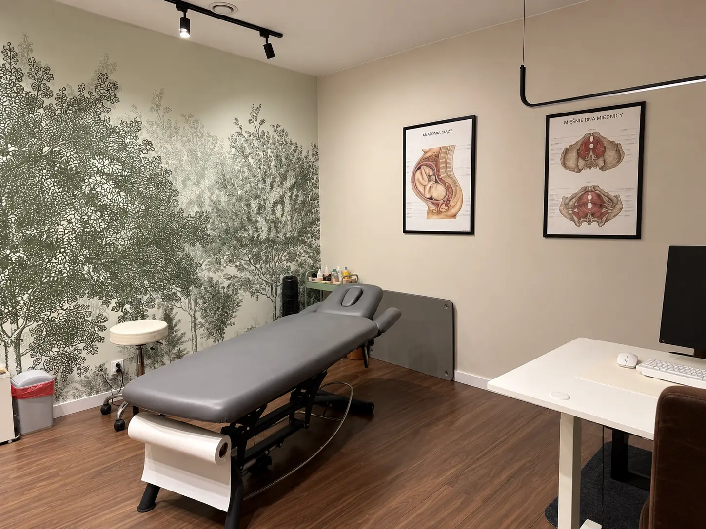 Gabinet fizjoterapii uroginekologicznej Recovery Clinic
